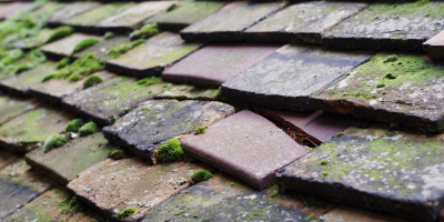 Cwrt Henri roof repair costs